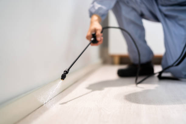 Bed Bug Pre-Treatment Preparation Assessment in Oreana