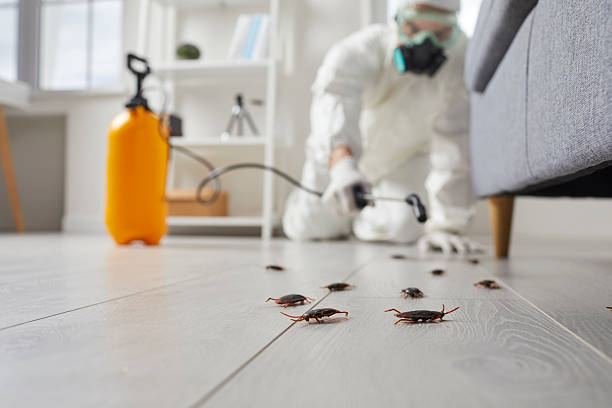 Post-Treatment Bed Bug Interceptor Monitoring in Oreana