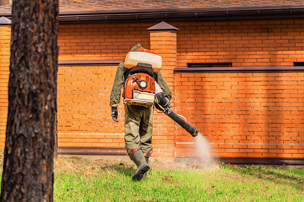 Bed Bug Clearance Verification and Documentation in Oreana
